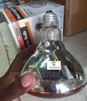 Taa Kisasa Kwa Vifaranga Aina Zote