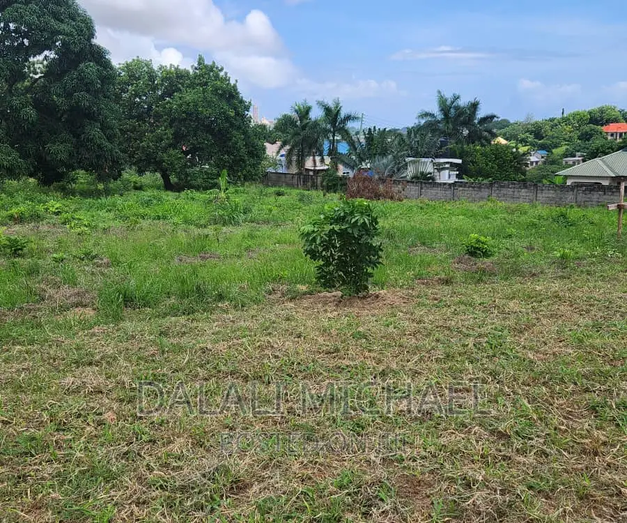 Plot for Sale in Salasala,.