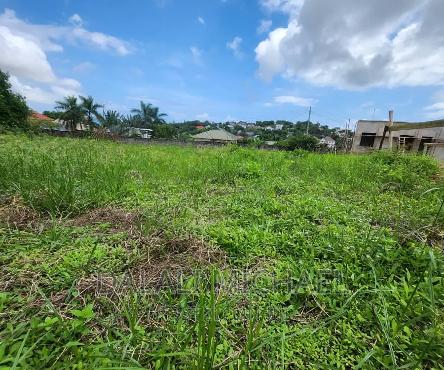 Plot for Sale in Salasala,.