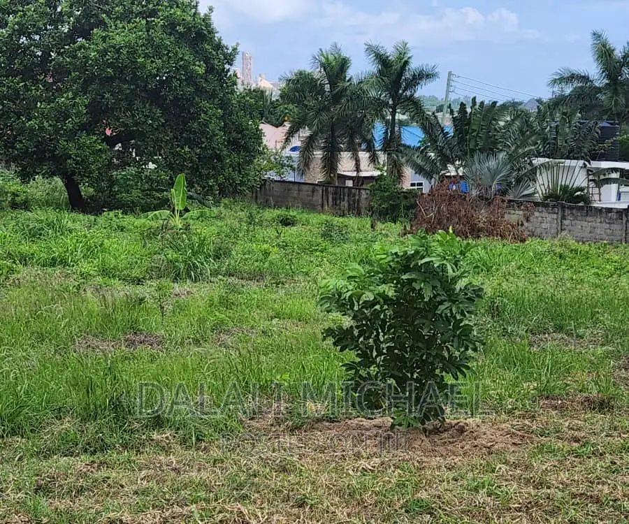 Plot for Sale in Salasala,.
