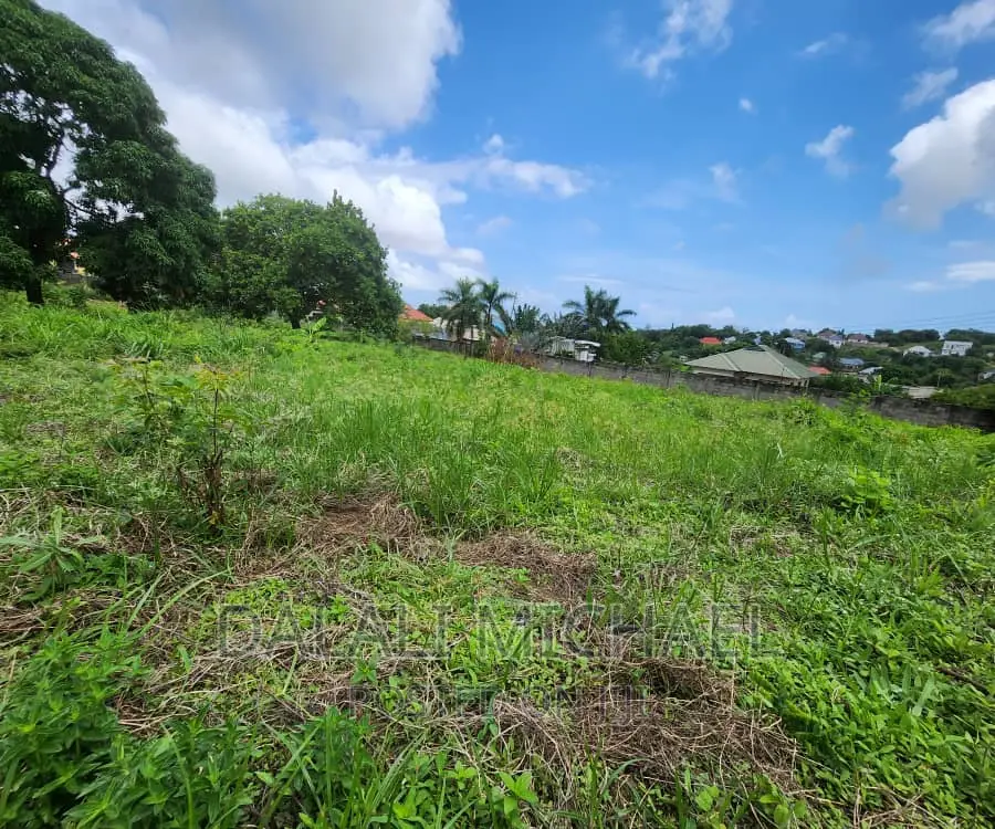 Plot for Sale in Salasala,.