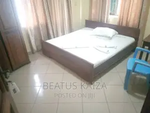 Furnished 1bdrm Block of Flats in Lumumba Kariakoo for rent