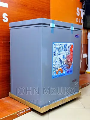 Freezer Aina Ya Boss Liter 150, Cheap Price and Affordable