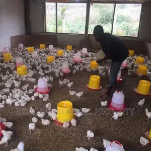 Farm for Sale at Morogoro Mikese