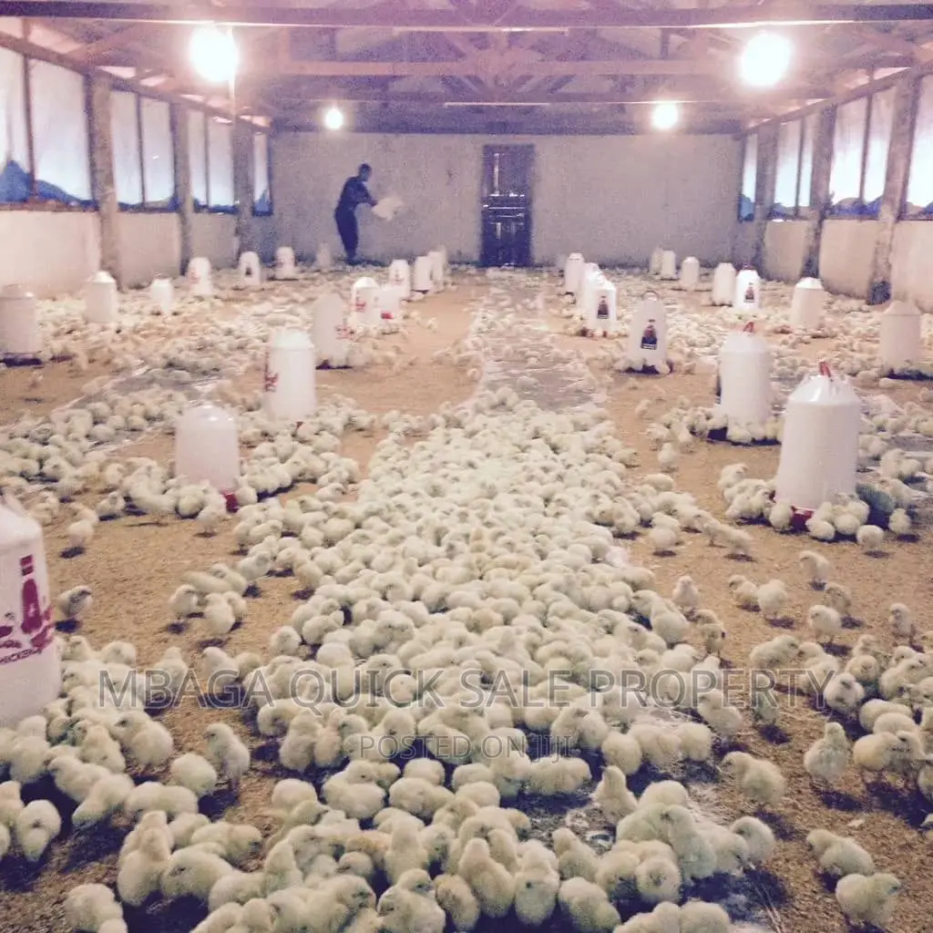 Farm for Sale at Morogoro Mikese