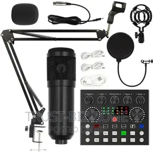Studio Recording Microphone Condenser