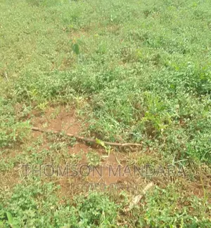 Land Near Machame/Arusha Road