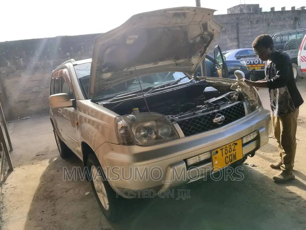 Nissan X-Trail 2005 Gold