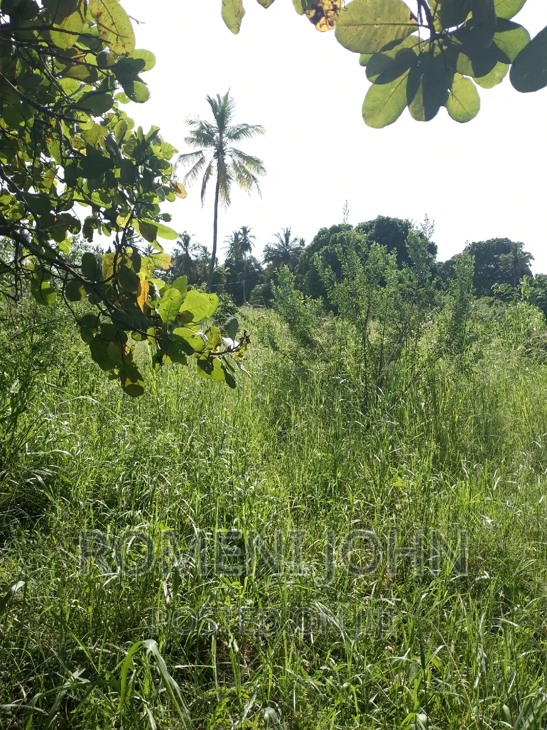 Eneo Hk 5 La Viwanda Na Biashara Linauzwa Ml 900 Kibaha.
