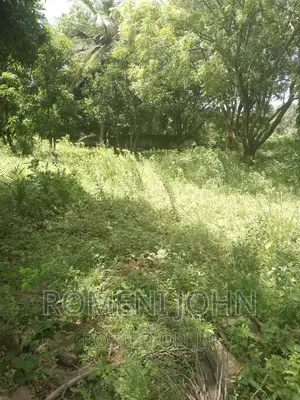 Eneo Hk 2 La Viwanda Na Biashara Lanauzwa Ml 400 Misugusugu.