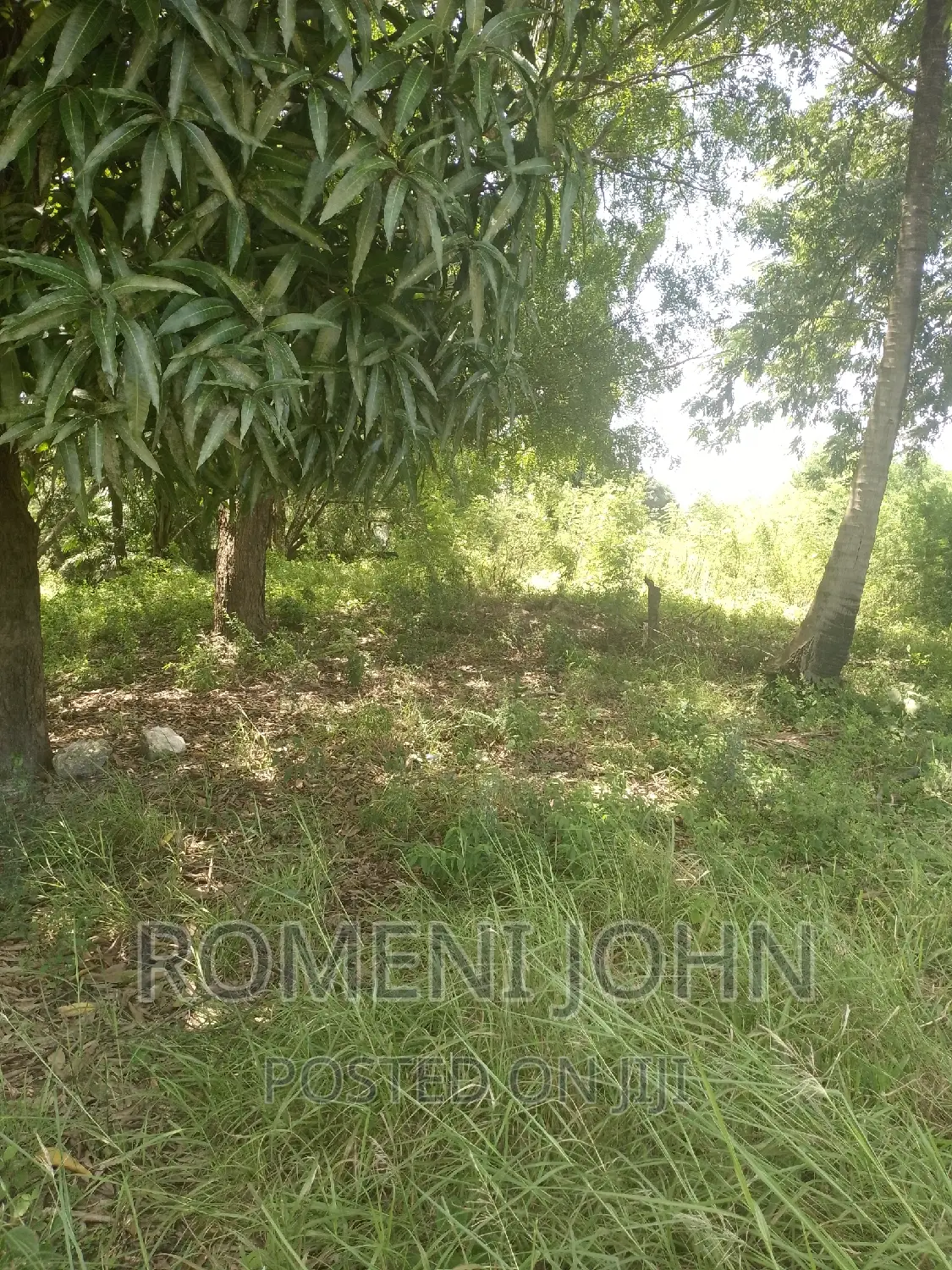 Eneo Hk 2 La Viwanda Na Biashara Lanauzwa Ml 400 Misugusugu.
