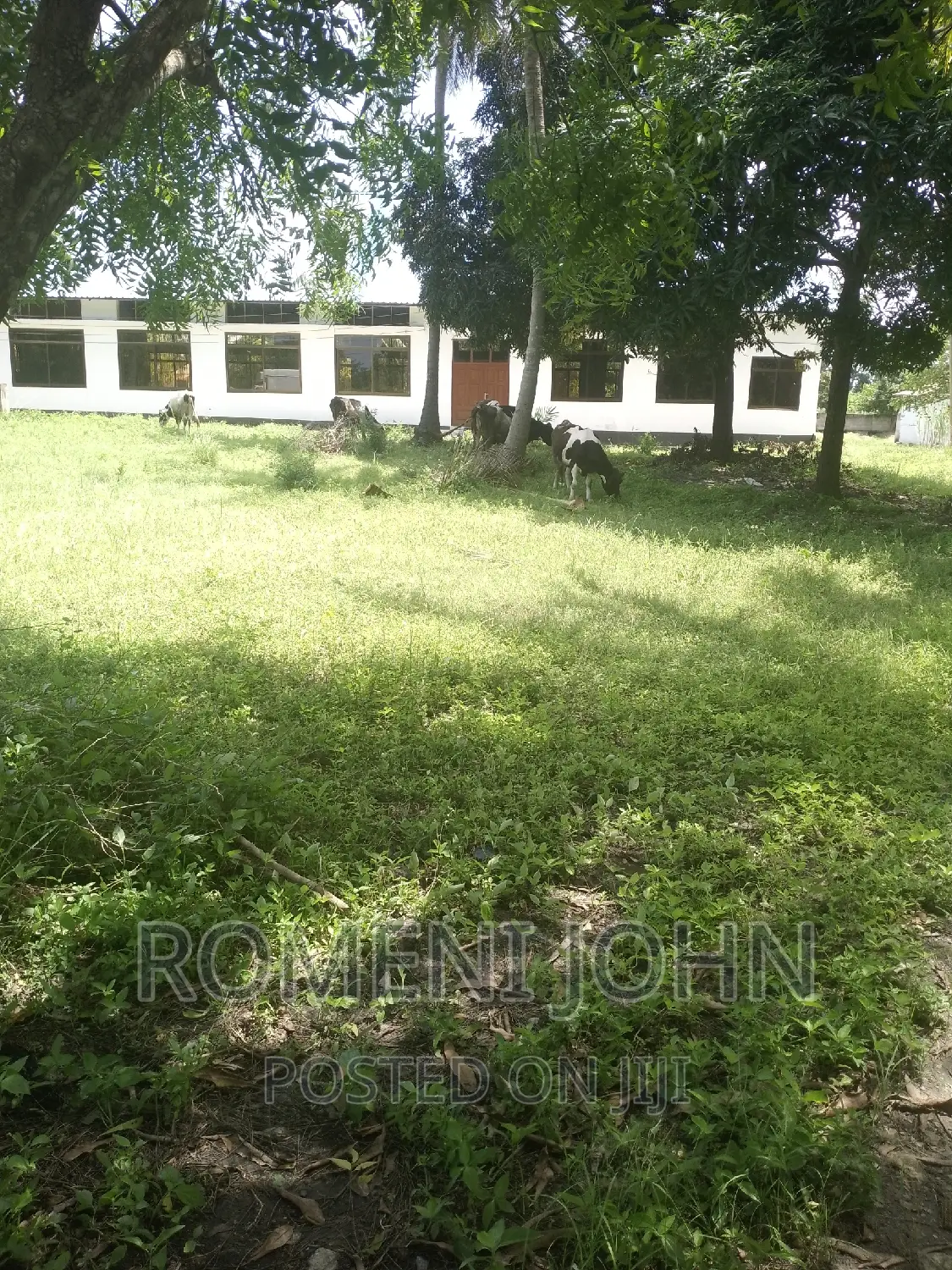 Eneo Hk 2 La Viwanda Na Biashara Lanauzwa Ml 400 Misugusugu.
