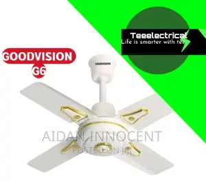 24 Inch Celing Fan Gv-Feni