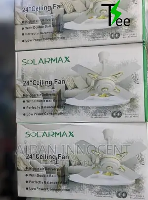 Solarmax 24 Inch Celing Fan-Feni