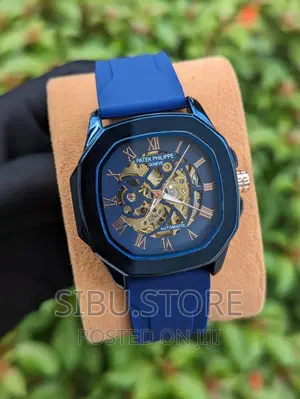 Patek Mechanical Watch