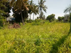 Plot for Sale at Salasala 1900sqm TSH 350m