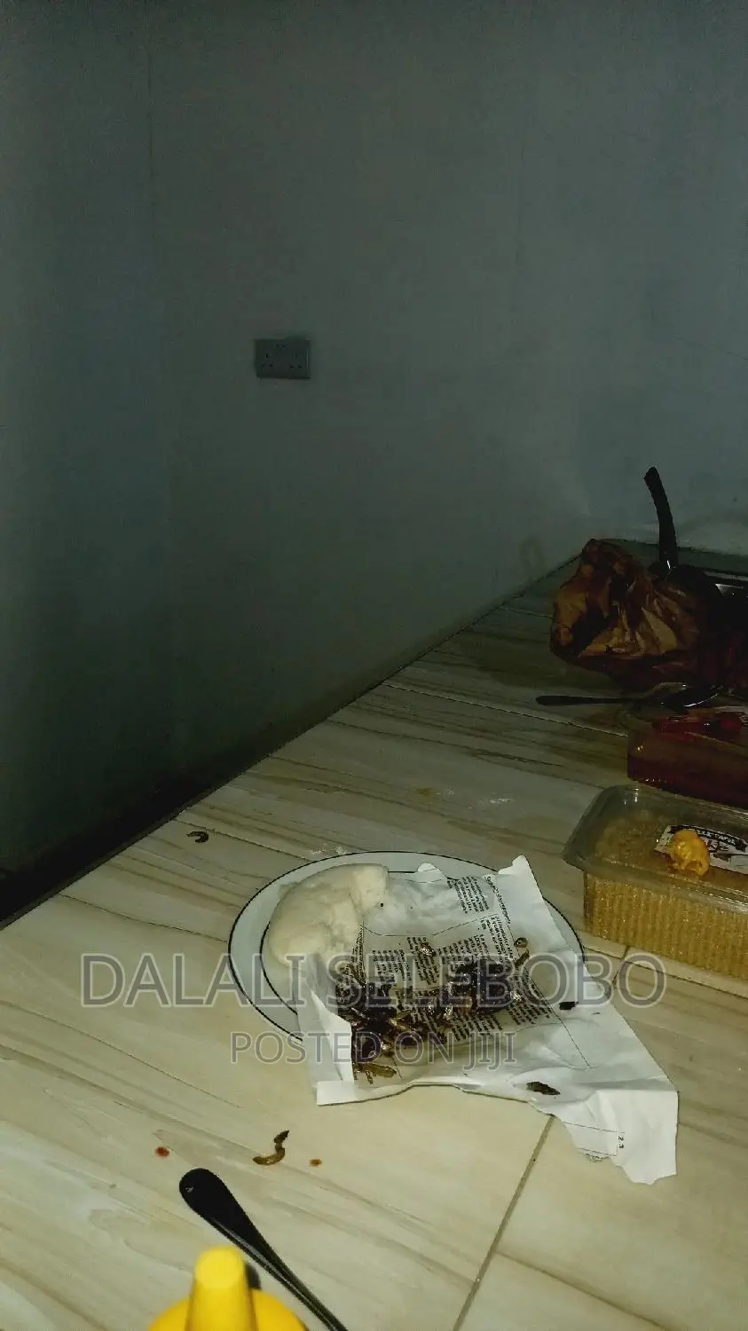 1bdrm Farm House in Mbezi Beach for rent