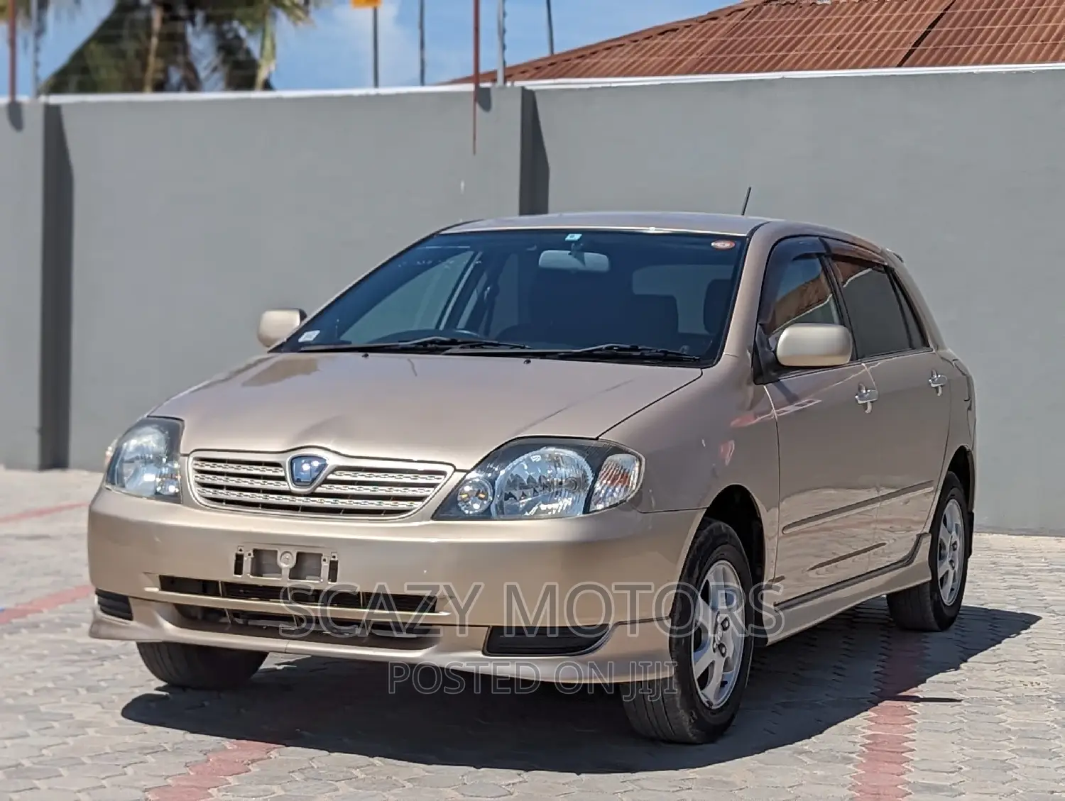 Toyota Allex 2002 Gold