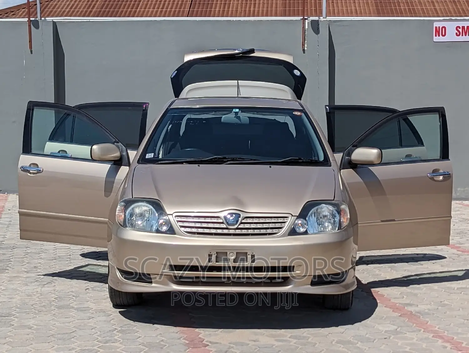 Toyota Allex 2002 Gold