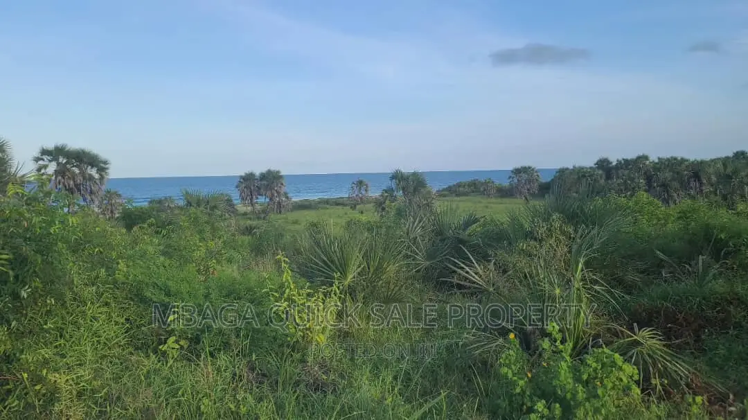 Plot for Sale at Kigamboni Dege Mbutu