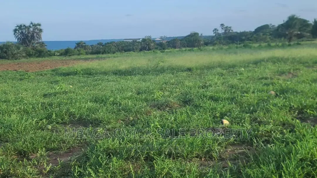 Plot for Sale at Kigamboni Dege Mbutu