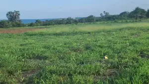 Plot for Sale at Kigamboni Dege Mbutu