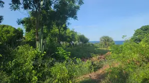Plot for Sale at Kigamboni Dege Mbutu