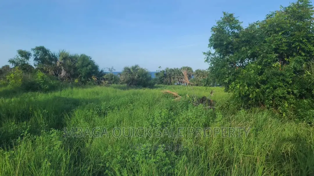 Plot for Sale at Kigamboni Dege Mbutu