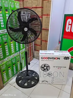 Godvision Electric Fan