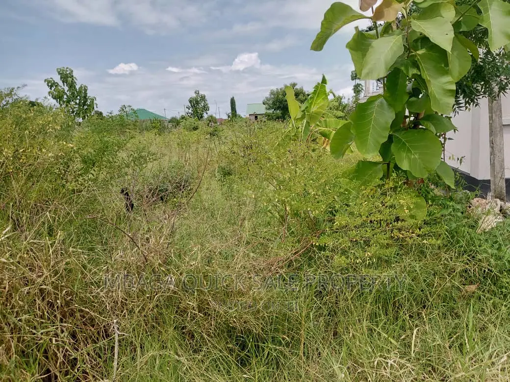 Plot for Sale at Mbwen