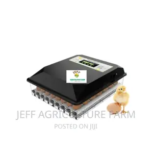 Incubator Machine 60 Eggs Plastic Body