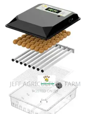 Incubator Machine 60 Eggs Plastic Body