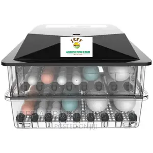 Incubator Machine 60 Eggs Plastic Body
