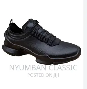 Ecco Shoes Original