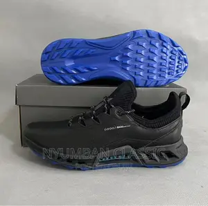 Ecco Shoes Original