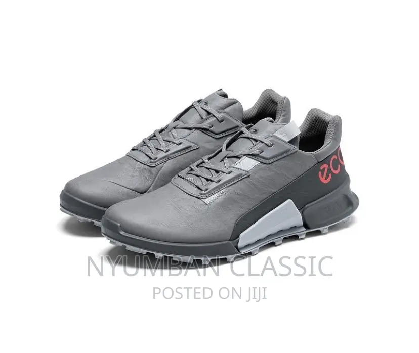 Ecco Shoes Original