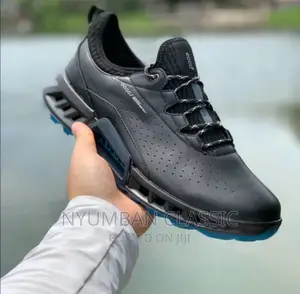 Ecco Shoes Original