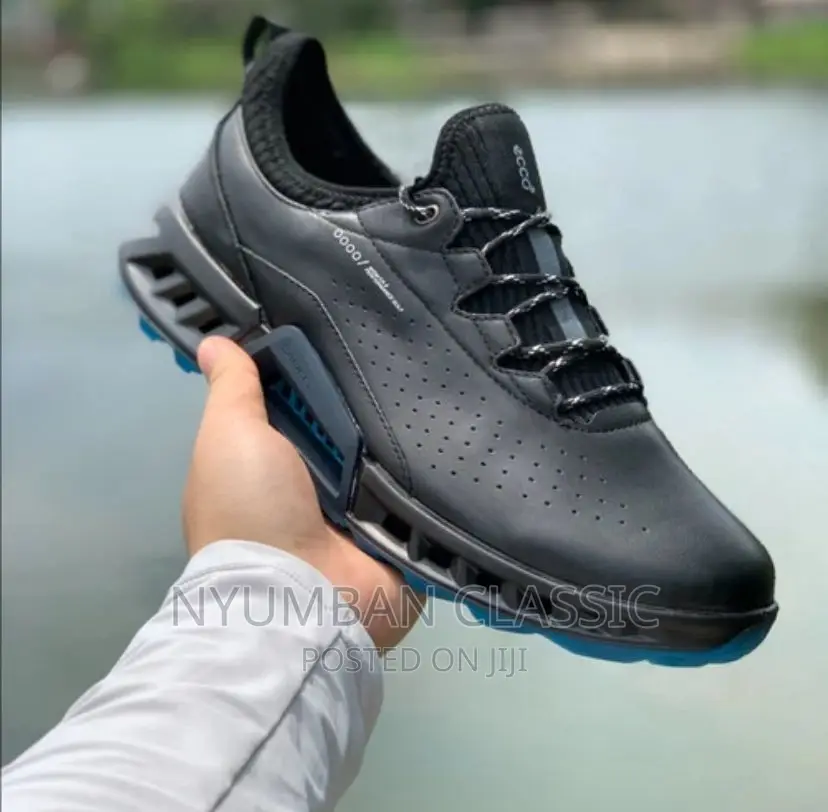 Ecco Shoes Original