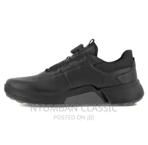 Ecco Shoes Original