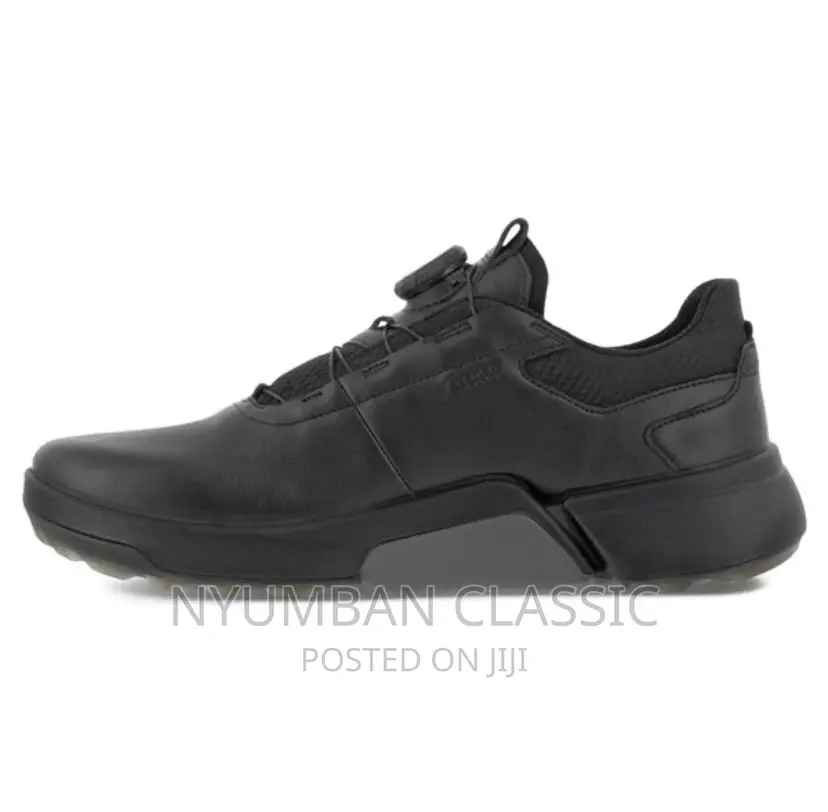 Ecco Shoes Original
