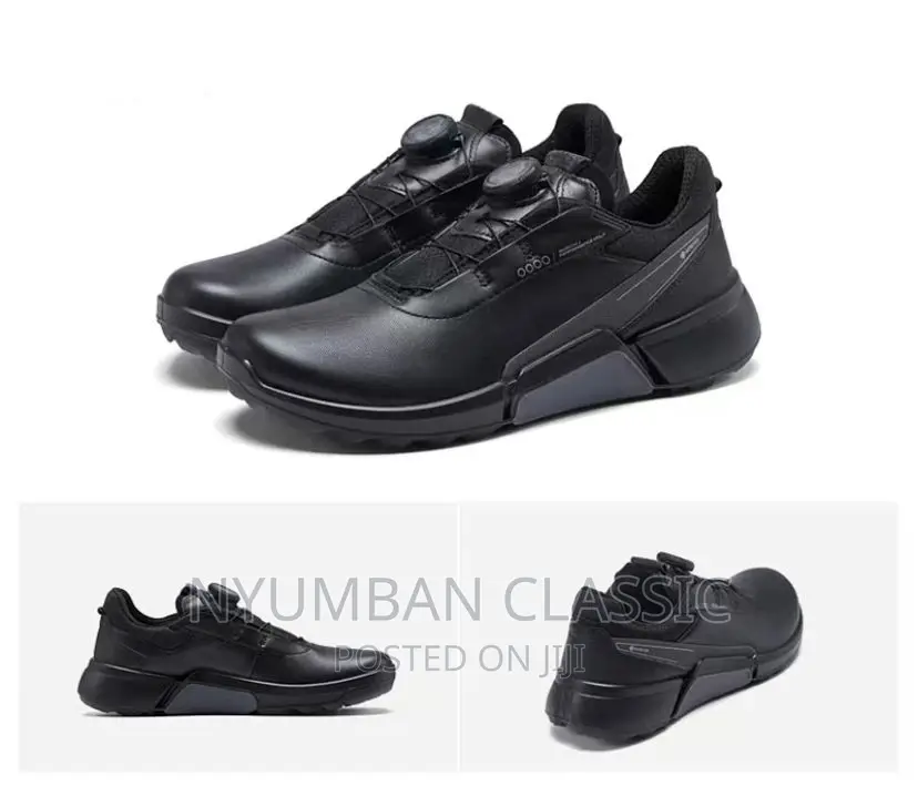 Ecco Shoes Original