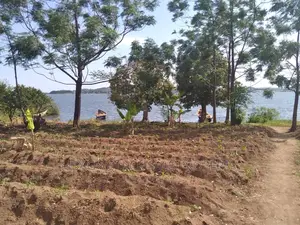 Plot for Sale at Mwanza Bwiru