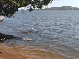 Plot for Sale at Mwanza Bwiru