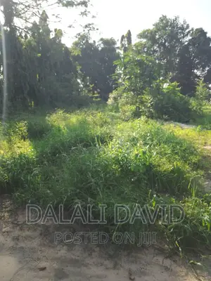 Plot for Sale at Mbezi Beach Tangibovu
