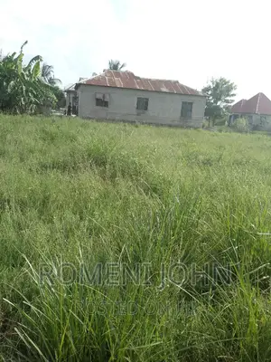 Eneo Sqmita 900 Linauzwa Ml 15 Majohe Viwege.