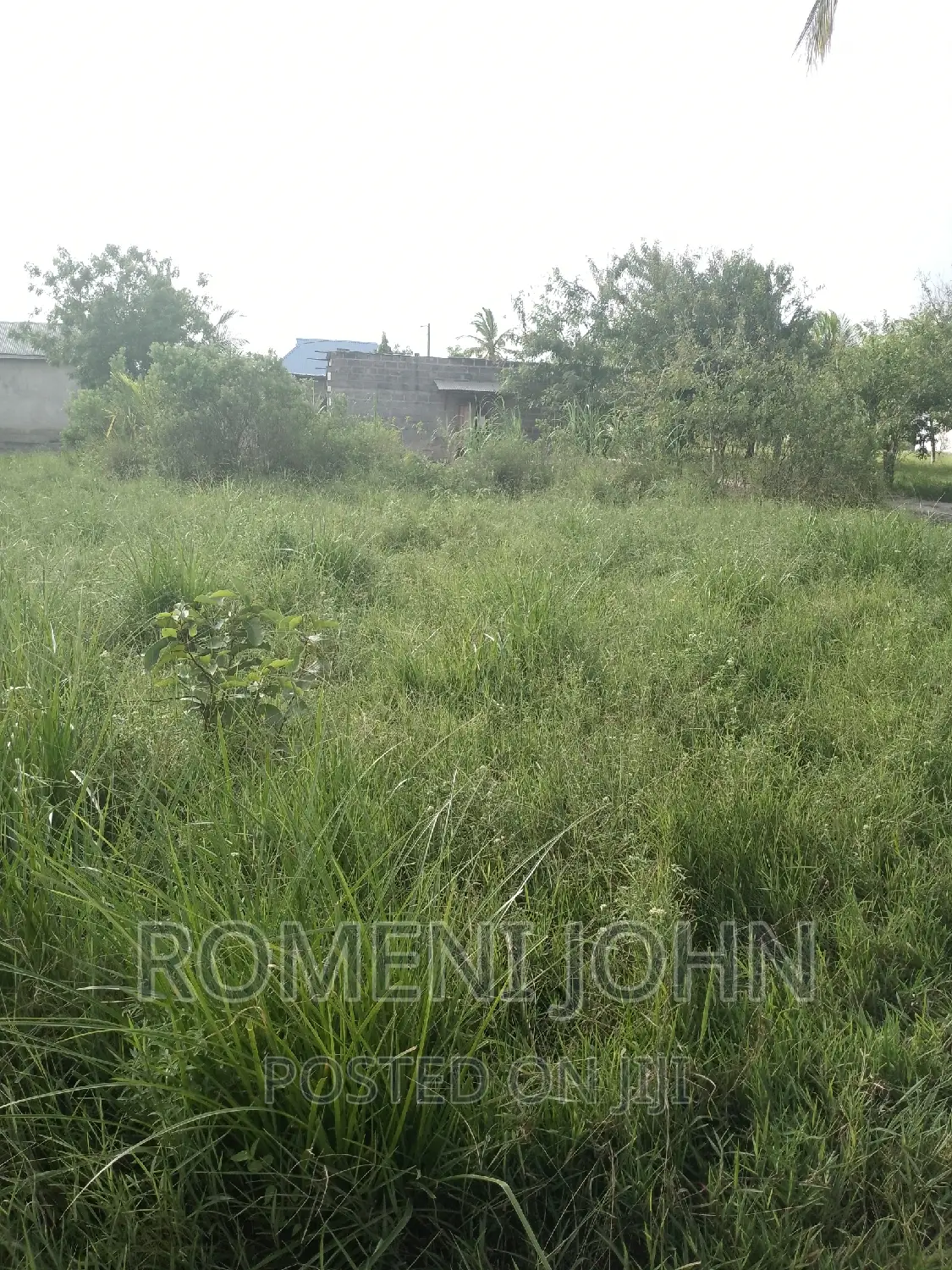 Eneo Sqmita 900 Linauzwa Ml 15 Majohe Viwege.