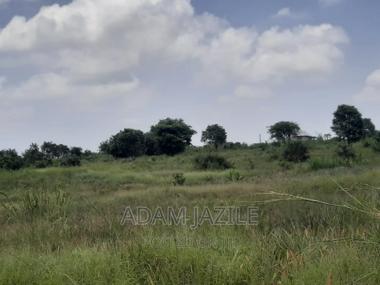 Shamba LA Nanasi LA Ekari 6 Linauzwa Mwavi Fukayosi