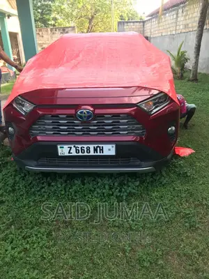 Toyota RAV4 Adventure 2021 Brown
