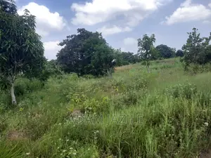 Shala Ekari 3 Linauzwa Fukayosi Bagamoyo