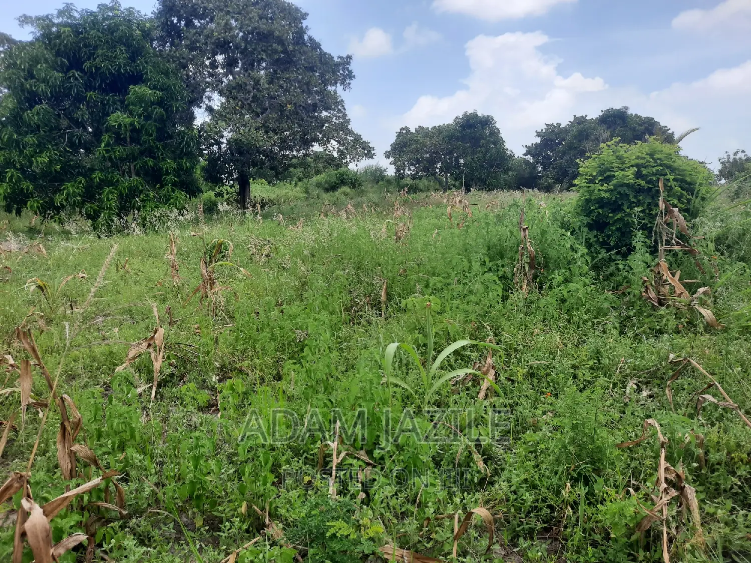 Shala Ekari 3 Linauzwa Fukayosi Bagamoyo